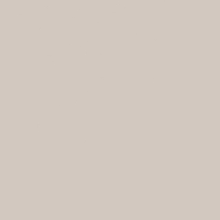 МДФ панель Rehau Rauvisio tone 2464LT Boxcar Blonde, 2800х1300х18.6 МДФ панель Rehau Rauvisio tone 2464LT Boxcar Blonde, 2800х1300х18.6